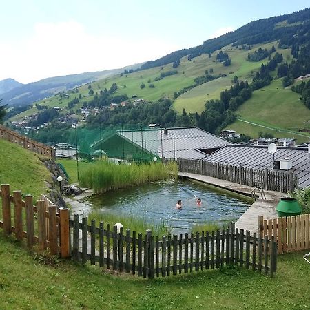 Appartementhotel Hechenberg Saalbach-Hinterglemm Dış mekan fotoğraf